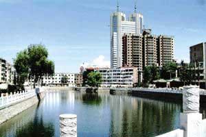 城市人工森林公园